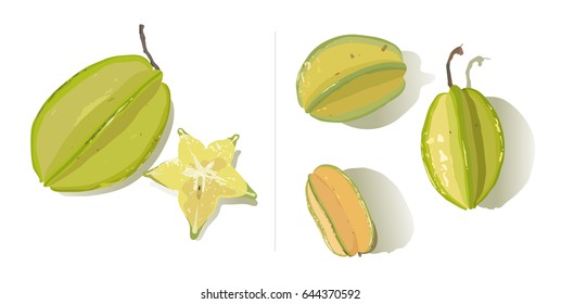 A set of Star fruit ( Carambola ) vector isolated on white background in sunny day