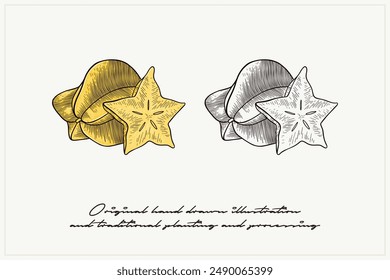 a set of star fruit illustrations in an engraving style