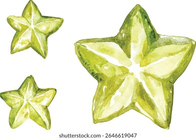  set of Star Fruit Watercolor  - Green Tropical Fruit Slices vector illustration