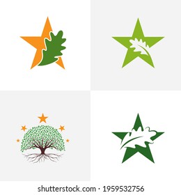 Set of Star oak leaf logo design vector illustration, Creative oak tree logo design concept template, symbols icons