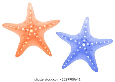 Conjunto de estrellas de mar. Hermosos animales coloridos para el diseño marino. Ilustración de acuarela de Vector