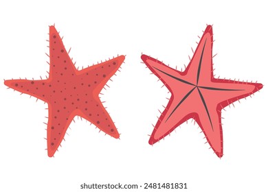 Set of starfish. Collection of marine design elements. Sea creature with spikes. Sea pictures in flat style. Cartoon. Vector illustration