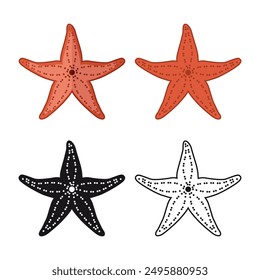 Set is a starfish. Colored starfish, outline and silhouette. Marine life. Vector illustration isolated on a white background for design and web.