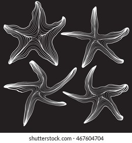 set of starfish contour of the lines. white outline on dark background. vector illustration.