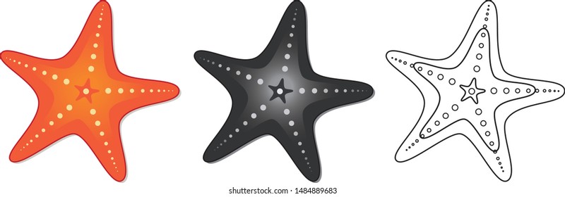 Set with a starfish in different styles of drawing. Vector illustration of a star isolated on a white background.