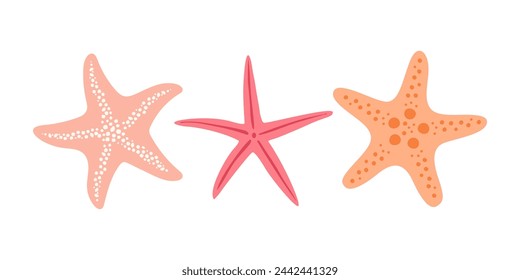 Set with starfish isolated on white background. Hand drawn in minimalistic style.