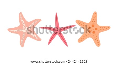 Set with starfish isolated on white background. Hand drawn in minimalistic style.