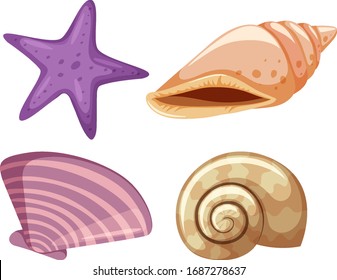 Set of starfish and seashells on white background illustration