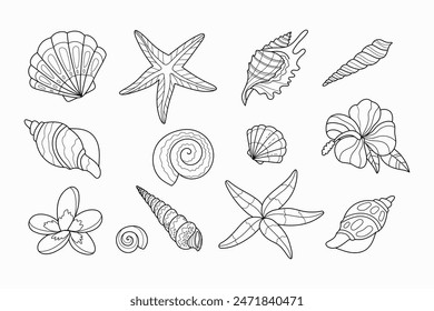 Set mit Seestern und Muscheln. Malbuch für Kinder. Sommerfarbseiten. Liniengrafik der Vektorgrafik