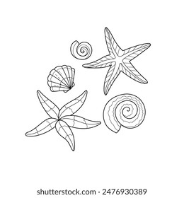 Set with starfish and shells. Coloring book for children. Summer coloring pages. Vector line art