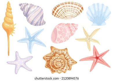 Conjunto de estrellas de mar y conchas de varios moluscos. Colorido dibujo vectorial de dibujos animados.