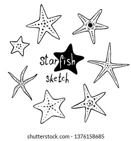 A set of starfish sketches.