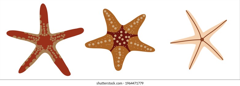 Set of starfishes. Vector illustration.