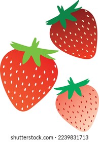 Set of Stawberry summer fruit. white background. Vector graphic illustration. Vegetarian cafe print, poster, card. Natural, organic dessert sweet, fresh berry