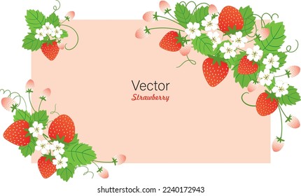 Conjunto de fruta de verano de Stawberry. fondo blanco. Ilustración gráfica vectorial. Impresión de café vegetariano, afiche, tarjeta. postre natural, orgánico dulce, berry fresca