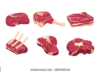 Set steak difference pieces, slice raw beef meat, isolated on white background. Detailed drawing with fat and rib. Objecs, clipart. Close up view.