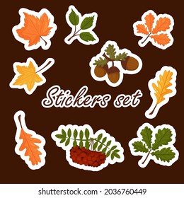 Set of stickers of autumn elements, bright colorful autumn leaves. Vector cartoon style. Isolated on a white background.