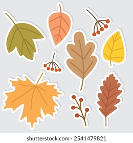 Set of stickers with autumn leaves and berries. Cute decorative fall elements	