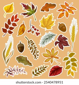 Set of stickers with autumn leaves.Autumn leaves, acorns, berries and ears of corn in a color vector sticker collection.