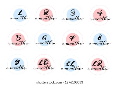 Set of stickers for baby clothing. "1 month', "2 months" per "12 month" cards for photo session. For boys and girls. Cards for kids photo session or baby shower. Pink and blue circles with text. 