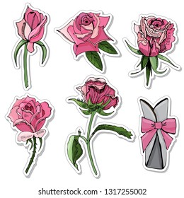 Set of stickers  of blossoming color  rose flowers, bow and frame. Hand drawn ink  sketch  on white background. Vector illustration.