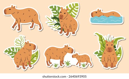 Set of stickers with capybara, swimming capybara and tropical leaf compositions in cartoon flat style. Cute and funny animal collection perfect for kids, decor, summer, and nature projects.