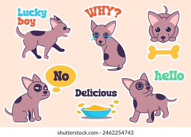 Set of stickers Chihuahua in flat cartoon design. A cute little chihuahua shows different emotions, happy and sad, in these wonderful colorful stickers. Vector illustration.