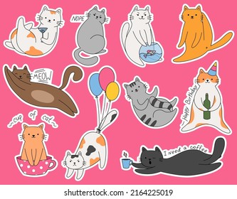 Set stickers cute cartoon cats different breeds. Lazy cats with alcohol and lettering. Funny cats in different poses.