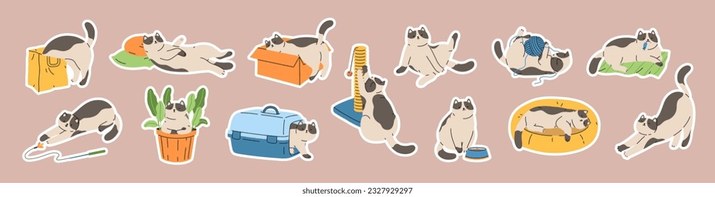 Juego de stickers con gatos lindos. Insignias de colección dibujadas a mano con gatitos de mascotas vida en casa: acciones, escenas con poste de arañazos, juguetes, portadora, cama, caja, bolsa, alimentación. Ilustración de carácter plano.