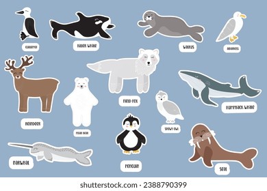A set of stickers with cute polar animals, sea mammals and birds. Big set of wild arctic animals. Whale, narwhal, albatross, guillemot, walrus, polar owl, polar bear, polar deer.. Vector illustration 