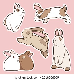 Un conjunto de stickers. Conejos cortos. Conejos blancos, marrones y manchados. 