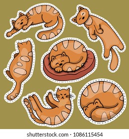 set of stickers with cute stylized cats, iced elements of design, multicolored on green background, sketches hand drawing, vector illustration