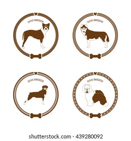 Set of stickers with different dog breed illustrations and text