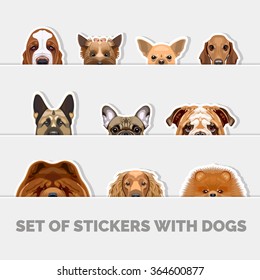 Set of stickers with dogs. Creative illustrations. Set of cute dogs faces. Dogs collection. Vector illustration of funny cartoon different breeds dogs in trendy flat style. Isolated on white. EPS 10