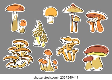 Set of stickers with edible mushrooms. Boletus porcini, Aspen bolete, chanterelle, morel, honey fungus, oyster, parasol, champignon, boletus edulis. Collection of stickers, patches, pins. Vector.