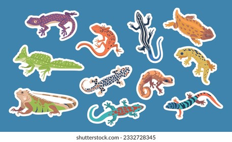 Set Of Stickers with Exotic Lizards And Varans. Reptiles with Unique Colors, Patterns And Size. Fascinating Pets