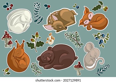 Set of stickers with forest animals and plants. Little sleeping bear, bunny, fox cub, squirrel, mouse and fawn, as well as spruce branches, blueberries, acorns, oak leaves, amanita, mushrooms. Cute ca