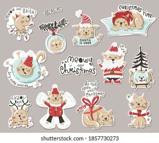 Set of stickers with funny cats. Vector illustration for greeting cards, christmas invitations and scrapbooking