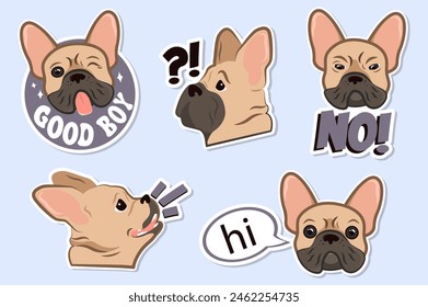 Set of stickers Funny mops in flat cartoon design. These lovely bright illustrations show the face of a cute pug dog showing different emotions in a modern style. Vector illustration.