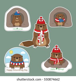 A set of stickers Happy Groundhog Day with cute groundhog in caps and scarves based on the USA and Canada national flags. In the hole and out of the hole. Hello Spring. Vector illustration.