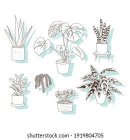 Set of stickers or icons, trendy house plants in pots, aloe vera, fiddle leaf fig, snake plant, monstera, burros tail, aglaonema, jade plant. Succulents and leafy plants. Decor for the interior.