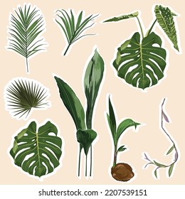 Set of stickers and icons of tropical palm leaves, monstera and plants illustration.