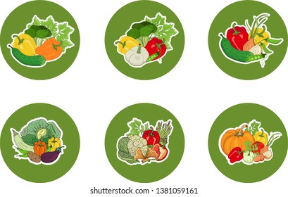 Set of stickers, icons of vegetables on a round green background. Vector