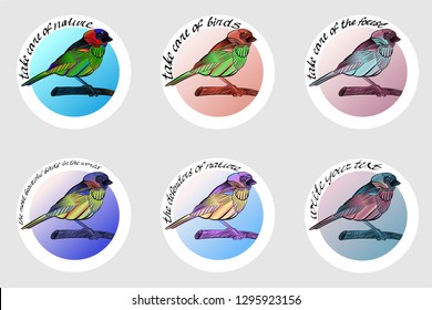 a set of stickers with the image of a bird in different colors, to create icons, chevrons, emblems, prints for clothing and other design