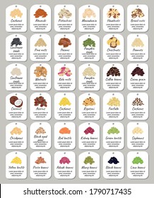 Set of stickers and labels of nuts, beans and legumes. Chickpea, mung, soy, lentils, pumpkin and sunflower seeds, pistachio, cashew, almond, hazelnuts, coffee, coconut. Hand drawn vector illustration