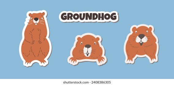 Set stickers Marmot. Cute wild animals. Brown groundhogs. Flat vector illustration of a groundhog isolated