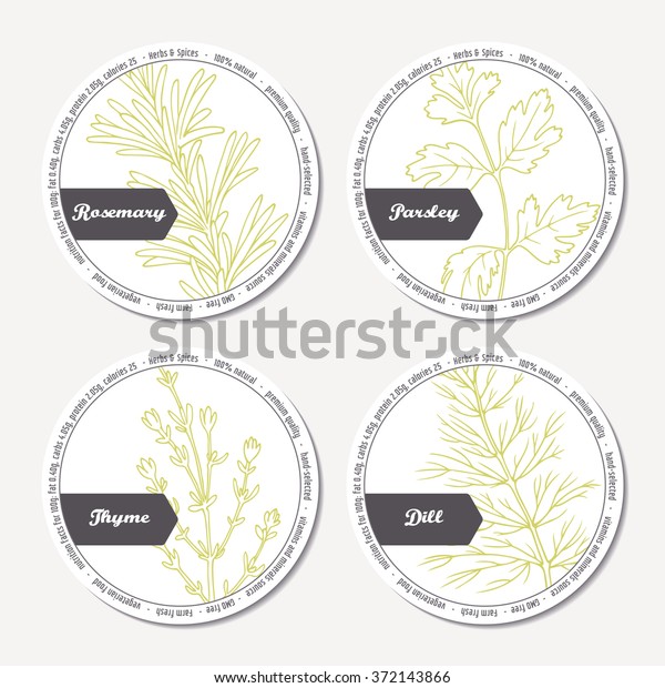 Set Stickers Pa Kage Design Rosemary Stock Vector Royalty Free 372143866