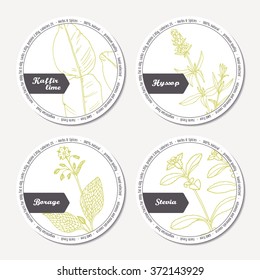 Set of stickers for package design with kaffir lime, borage, hyssop, stevia. Hand drawn spicy herbs. Labels template with place for text. Vector illustration