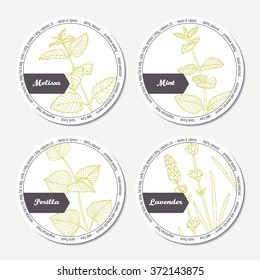 Set of stickers for package design with melissa, mint, lavender, perilla. Hand drawn spicy herbs. Labels template with place for text. Vector illustration