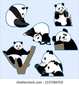 Set of stickers with pandas. Funny and cute pandas. Set of stickers with animals